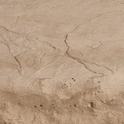 Camel Colour Swatch
