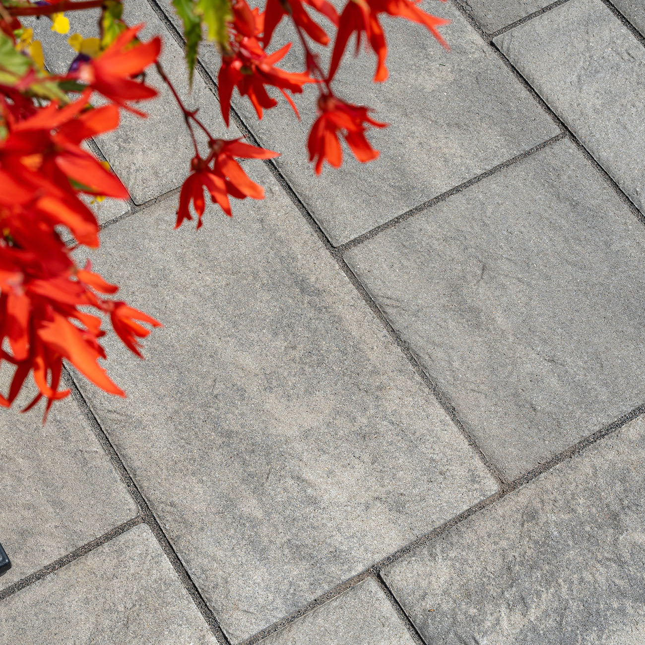 Close up of Trilogy+ Textured Pavers with red flowers.