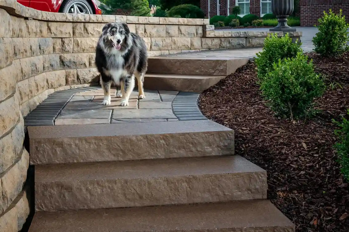 Stairway built with Passageways Stepping Units with rock bed and garden on either side
