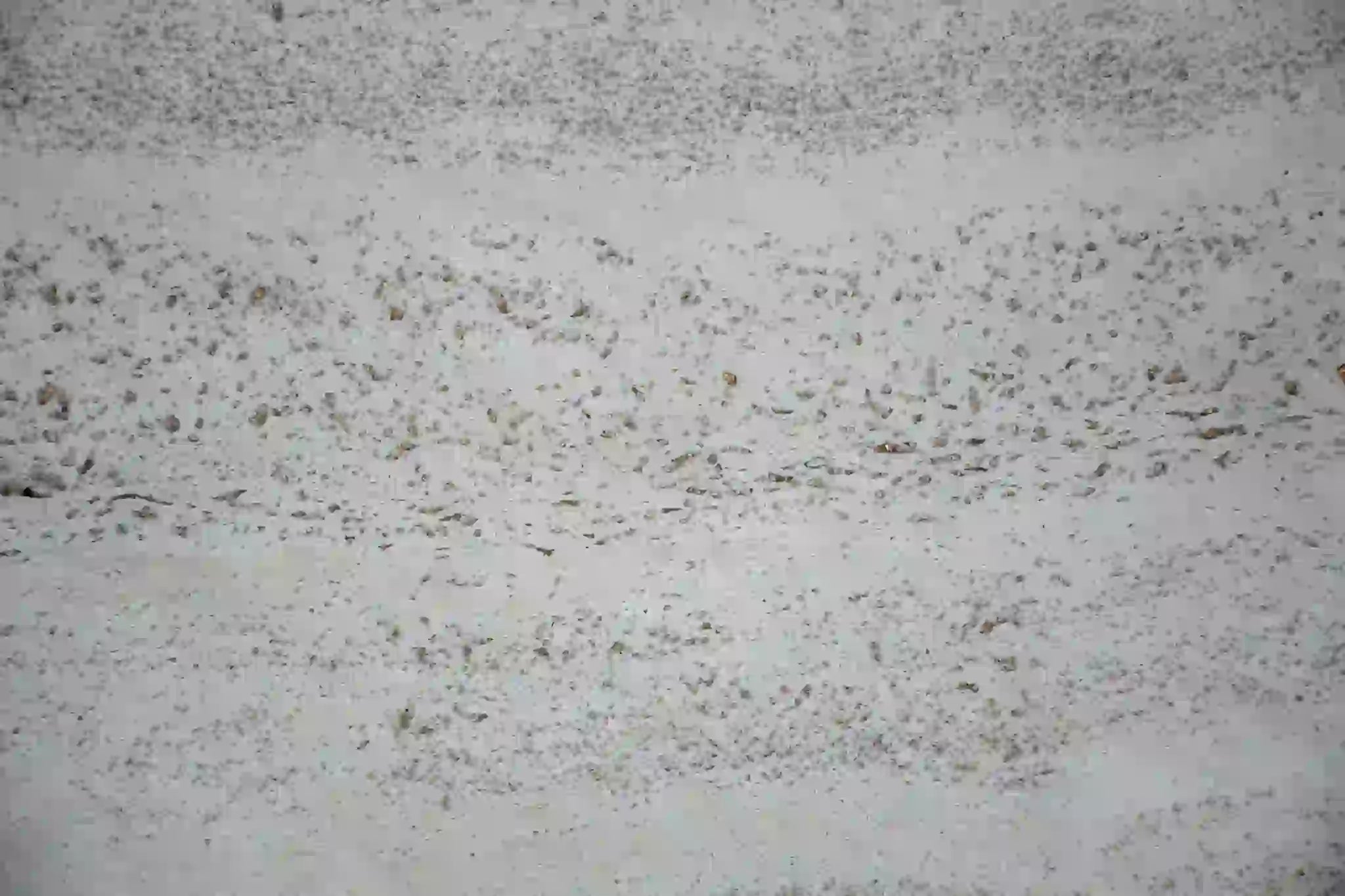 Brooklyn Pavers in the midnight colour